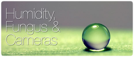 Humidity, Fungus and Cameras – Problems & Solutions