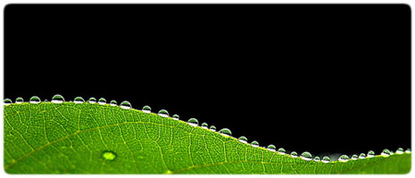 Camera’s Worst Enemies – Humidity, Fungus